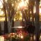 Blue Wren Studio Apartment