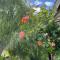 Mustard Pot Cottage