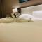 Guangzhou Southern Airlines Pearl Airport Hotel- Free shuttle bus to airport