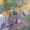 Barud Gedera Israel