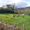 Cuckoo Tree House Glengarriff Beara Peninsula - Glengarriff