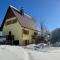 Vacation house Polane