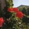 Posestvo Rouna - winery and apartments