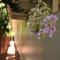 Pure Land Guest House