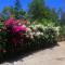 Genevieve Guest House and Tours