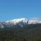 View Mount
