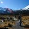 Tongariro Lodge - Turangi