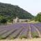 Gite le Mas de l'Amandier - Saint-Saturnin-lès-Avignon