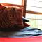 Serenity Graskop, 3 bedroom A-Frame cottage