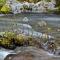 Corlieu Falls Cabin in Sugar Pine 8 miles from Yosemite with Gazebo, Hot tub a shack and Bar top - Окхерст