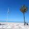 Apartamento Bajo en Valdelagrana, Primera Línea de Playa