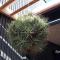 Epiphytes et succulentes
