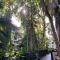 Tropical paradise