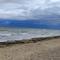 Strandläufer