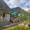 The Stream Kasol