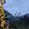 The Stream Kasol