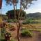 La Cera Farm Camping B&B