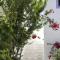 Naxos Holidays