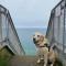 Sea View Bungalow in Carbis Bay Sleeps 6