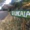 B&B Giuncaia17