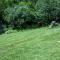 Casal das Fontainhas- Country Farmhouse with Pool