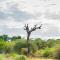 Yala Wild Hut - Yala