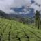 BEAUTY SPOT MUNNAR - Munnar