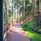Montana Suite Bungalows