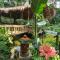 Rimba eco Resort - Tomohon