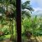 Rimba eco Resort