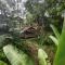 Rimba eco Resort