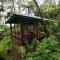 Rimba eco Resort