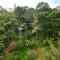 Rimba eco Resort
