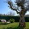 Apartment Palm View II - Rovinj