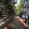 Apartments Pinus