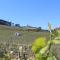 Ocean Country Guest House Freiria