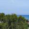 Seaview Harmony