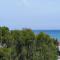 Seaview Harmony