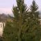 B&B Bergamo Alta