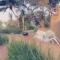 San Lameer Villa 2516 by Top Destinations Rentals