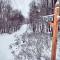 Deck + Forest Views: Secluded Cresco Cabin!
