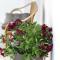 Garden Apartment in Amarynthos I