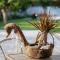 Garden Apartment in Amarynthos I
