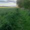Tuinhuisje in het groen