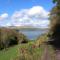 Cuckoo Tree House Glengarriff Beara Peninsula - Glengarriff