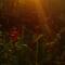 Marari Babu Homestay
