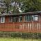 Snowdonia Log cabin - Trawsfynydd