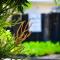 Charlies Place - Self catering studio