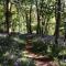 Wolford Lodge Traditional home surrounded 150 private acres with Tennis court