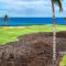 Halii Kai At Waikoloa Beach Resort 9F